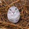 artemon_gatocatkit