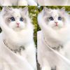 veyya_14