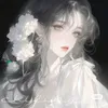 nt_nhazx211