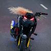bikelover418