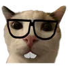 nhu_tuyxvtq