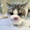 rawrrr7627