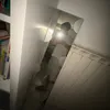 sonoqui293