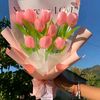 lucely_0976