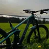 niilokauppinen2