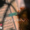 mohammeed513