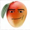 offical.omega.mango