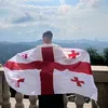 georgii13a