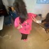 jhens_fann