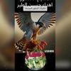 user1901325408830