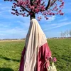 assiaetaybi