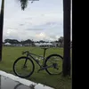 zyden_carl23