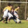 franciscobasso11