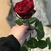 sinyourinarina3