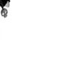 andree_13213