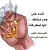 samer.souaad