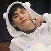 skzoo_stay1