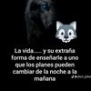 andre.pardo.caste