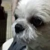 user3080511400021