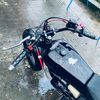 v i o l e t t a 135cc🐾