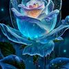 user135056070