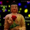 cherry_pham2