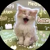 hiholohdy