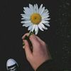 aqilaaw900
