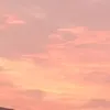 doo