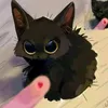 tran_minh.11