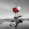 user55626010611606