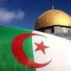 ahmed.boukertouch