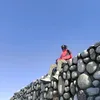 duwax_11x