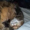 babuemalfilatre