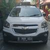 official.singa.putih_