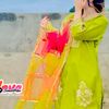 naseer.ahmad622