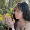 thaiphu_cb