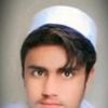 wajid.koko539