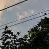 tramtinhnhatquada