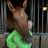 mia.rides.horses