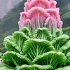 vui.ly4