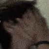 vitinho1345664