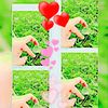 user77370305297075