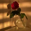 mos_i_beso_askujt34