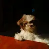 zcxbxnnznxbxnz