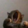 cherysth3