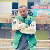 milesauecom.gama