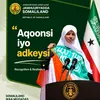 hodanciisecali2