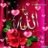 user356166115050