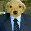 Mr.Momos